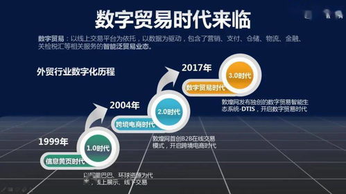 數(shù)字貿(mào)易時(shí)代 數(shù)字技術(shù)服務(wù)的崛起與挑戰(zhàn)